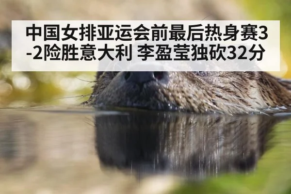 中国女排亚运会前最后热身赛3-2险胜意大利 李盈莹独砍32分